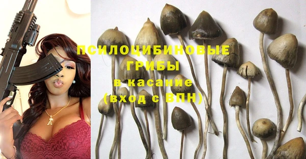 прущие крисы Алексеевка